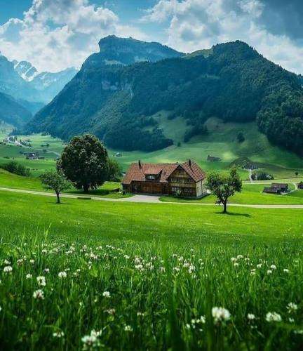 امیر تتلو من سقوط کردمو همه سکوت کردن