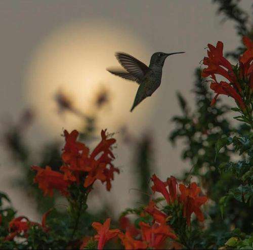 مسلک راه رفته رو برنمیگردم واسه هیشکی تو نقش نمیرم