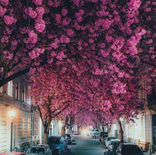 ۰۲۱کید آن د گلاید on the glide