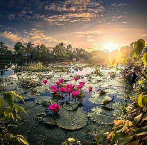 021 کید یه کام اوج بود دریلام فکتن بت میگه ممرضا بش دادم چند جی