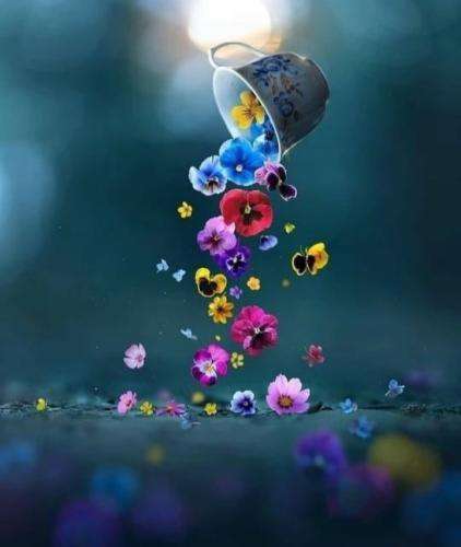 پوتک همونم که از زیرزمین رسیده به عرش