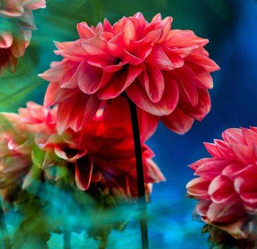 علیرضا جی جی دیدم تکساتو ولی نبودم آدم قدیم