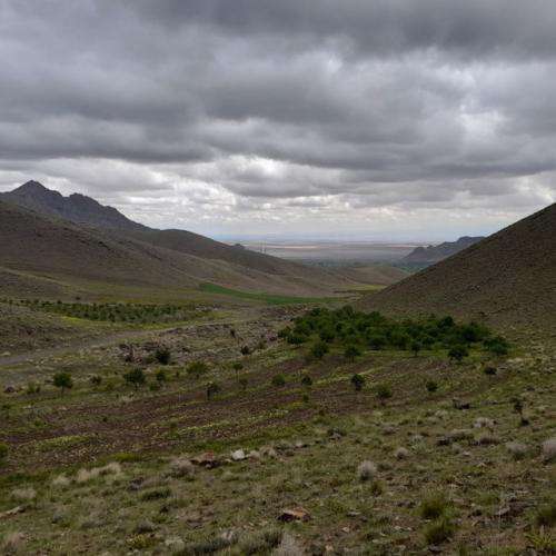 آیسم روی تنم مونده جای زخمای قبلا