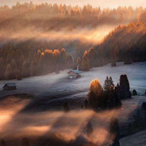 امیر تتلو همگی لشو آزاد تو میزنی به چیت چنگ