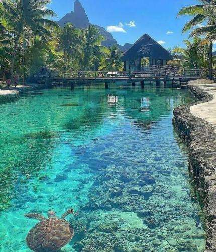 امیر تتلو دائم زیر رقص نور و میپاچیم به همه چیت رنگ