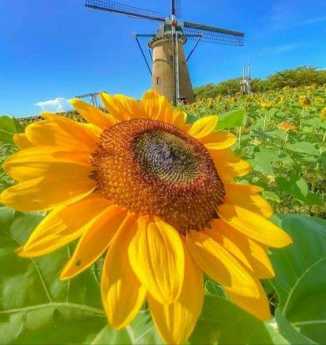 امیر تتلو هی واست بورینگ شد هی زدی فصل بعد