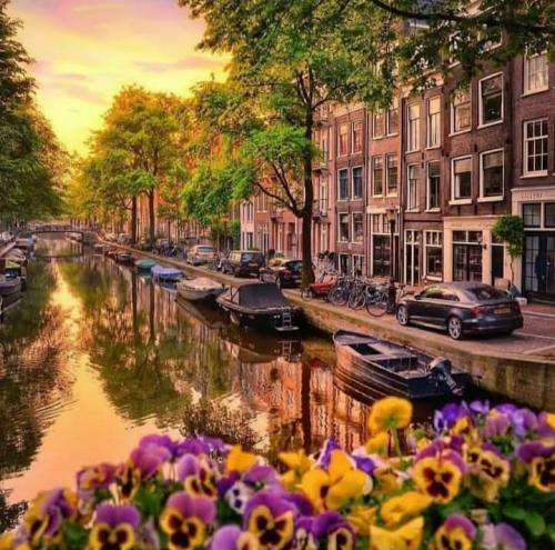 شاهین نجفی من به ارامش وحشی چشات مدیونم