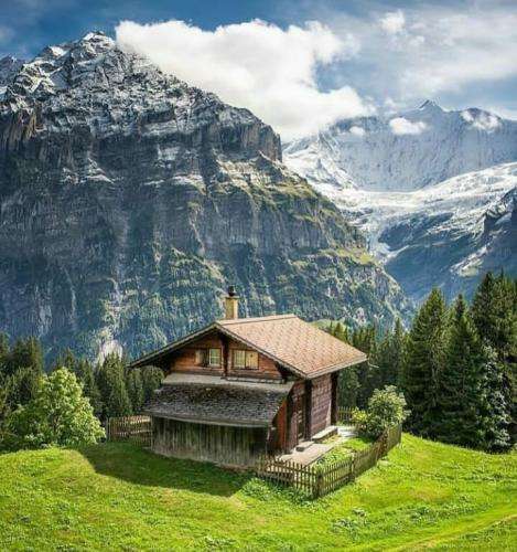 شایع هی میگه گنگم گنگم منم میگیره خندم کم کم