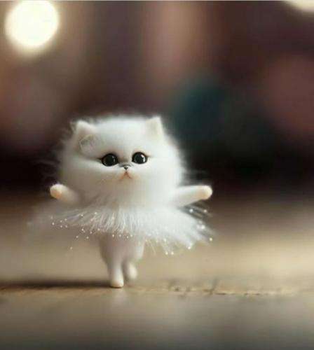 بهرام مدرسه ی خود ها