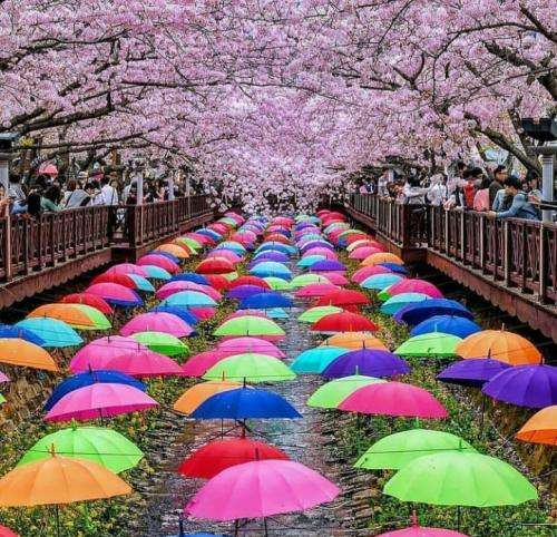 پوری یهو اومد حمیرا صداش دستور نمیده مغزم به بدنم