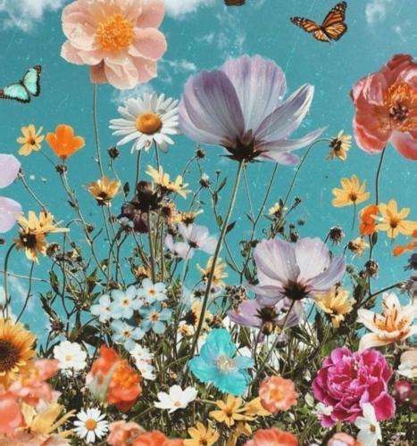 سپهر خلسه میخوای بیای تو با ما بالا بیشتر حاجی بحثو دلاریش کرد