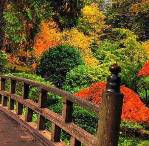 امیر تتلو من یه دندم که چی اومدی لج کنی یا میخواستی همدم بشی