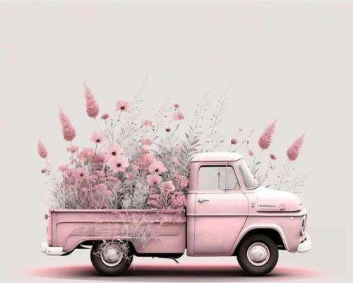 بهزاد لیتو نصف راه