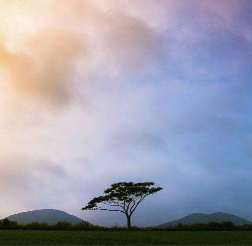 رضا کرمی تارا گرد کی دری لج کی آخه مگه دشمندم