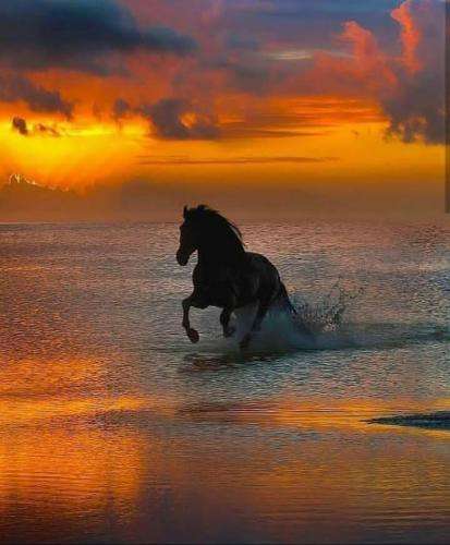 سپهر خلسه رو یچیم فقط ماها غیرت داریم رفیقام لای رفیقام