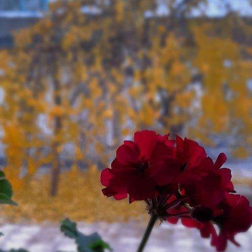 ابوالفضل متو کیجا شنه صورت رو نشونه دارنه خال روی گونه دارنه