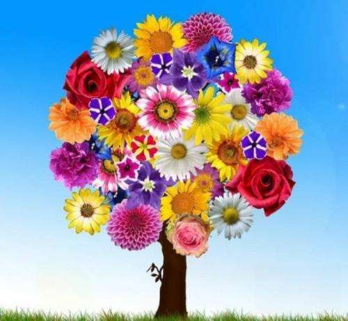 ناشناس بیبی دیدی هنوز شبم ماه داره بی تو