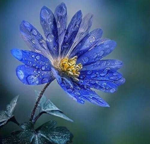 شایع حیف به خودم قول دادم حرکتی نکنم که تو از شایع