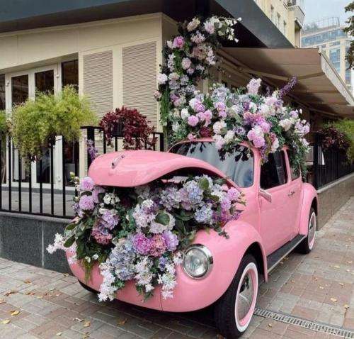 آرمین زارعی هی کی گفته حیف منه که میجنگم واست هی یه تنه