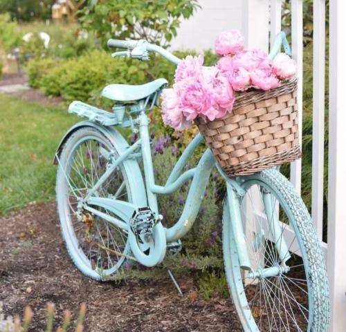 پوری میسوزه تر و خشک باهم آدما فراموشکارن