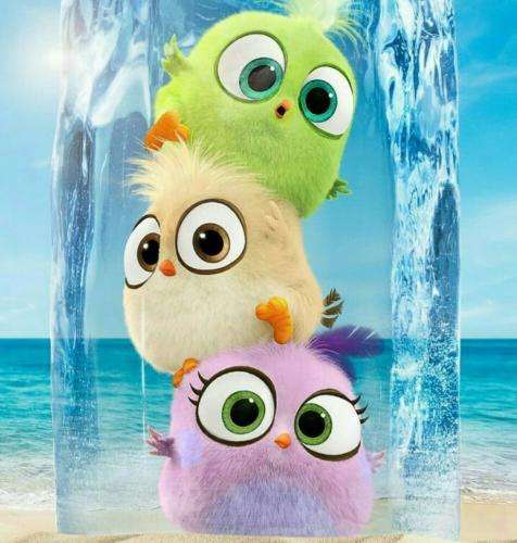 امیر تتلو هنو عشقا فقط زیر شلواره منو بالا آوردن حتی استخونام