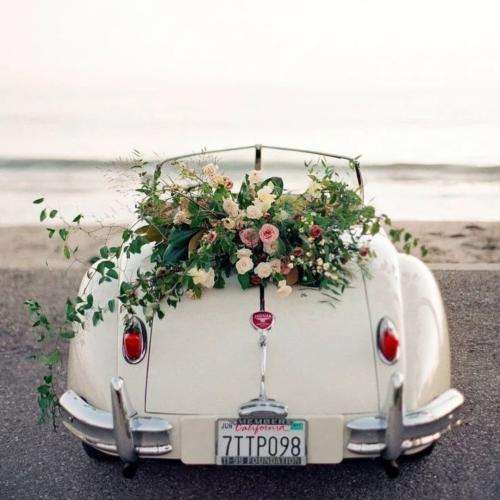 مهیار حالا نوبت منه تماشا کن بشین عقب