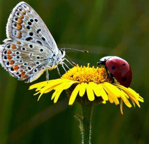 ایسین اگه اون باشه همه چی فراهمه میخوام داد بزنم فقط برا منه