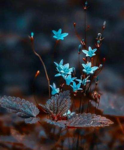 ستین میچرخی تو دورمو میچرخه دنیا به کامم باشه بریم بالا