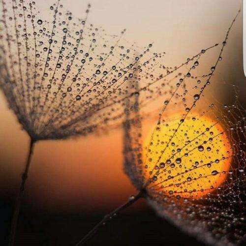 امیر ریبار فلش بک