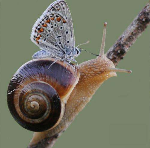 021 کید خیلی خواستم خوب باشم ولی الان حال خوبی نمونده برام