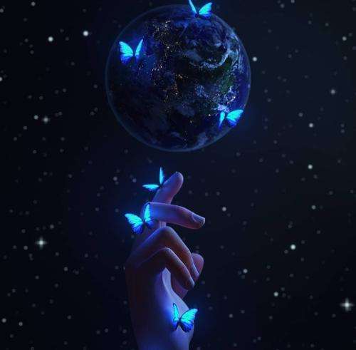 ددی شب بی ماه