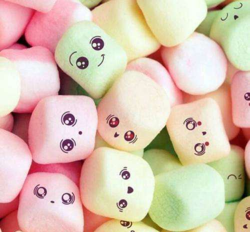 رضا پیشرو ما میکشیم درست میکشیم سیم کشیتو میکشیم