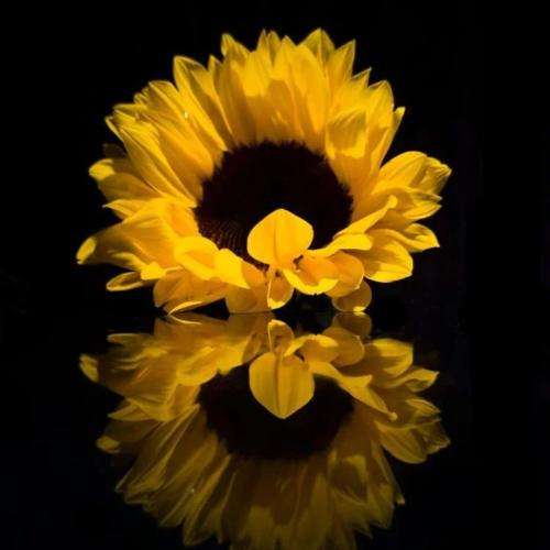 مهدیار حالا میزونی ردیفی خوشی هست پشمام ریخته