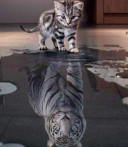 رضا پیشرو حالا چرا رو به رومی میخوای منو ببینی خاکستر