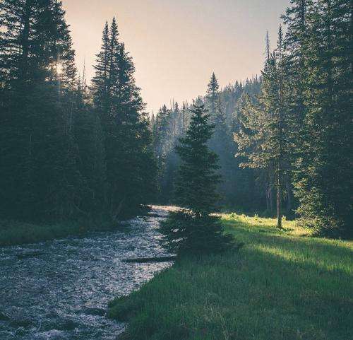 رضا پیشرو منم با اینکه با همه راه میام تنها میرم تنها میام