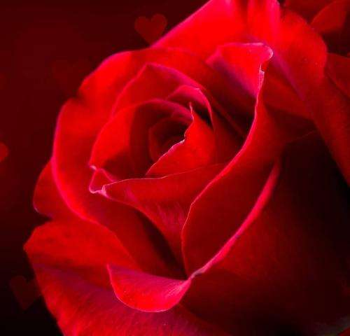 ناشناس لری گلم گلم قربون خندت برای دستمال بازی