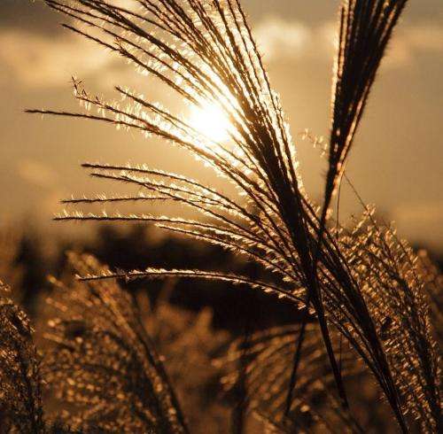 آرتا زندگی همینه یه روزی تبدیل به نفرت میشه