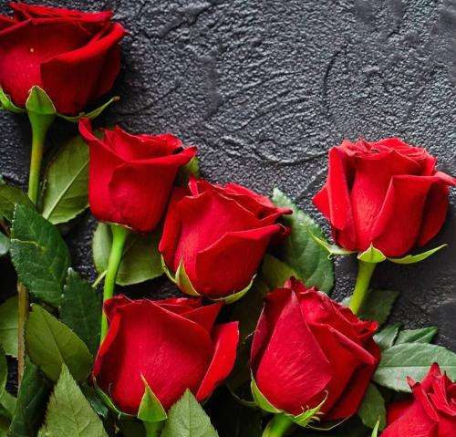 مستر کیارش  بیبی اگه بری میمونم با تنهاییا