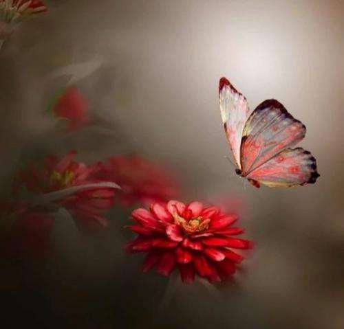 اکتاو نداره مزه بی تو اصن من فک کنم تلخه