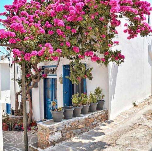 علیرضا جی جی بایپولار های خمار شبا میخوابم لای دلار صبح پا میشم