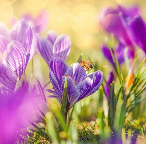 شایع دارم تو مشتم همونقدر که تونستم بکارم