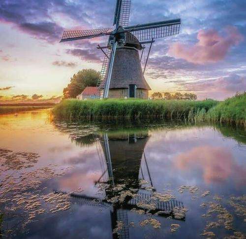 امیر تتلو حالت دیگه بد چرکه یه جوری دور کن از این بعده خودتو