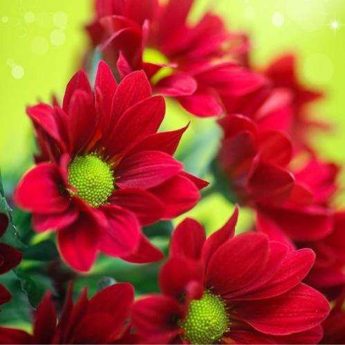 شایان یو وسط تنهاییام منو بداخلاقیام کی میگه گریه بده