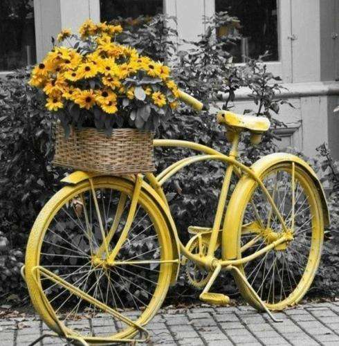 شادمهر عقیلی کجای زندگیمی تو که من میگردمو نیستی