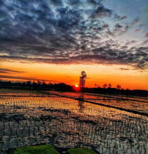 بهرام نفسم میکنه زخمت میکنن شب تا روز چوب لای چرخت