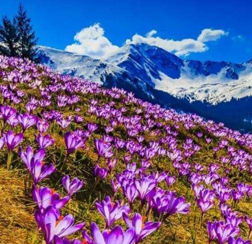 ناشناس یا الله شباب اتی فلوس