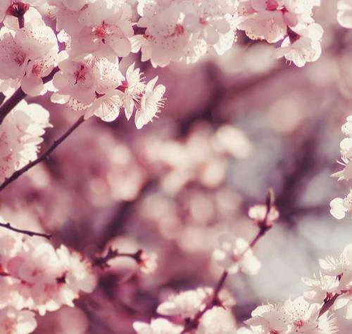 امین تیجی بار آخر