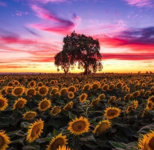 امین تیجی اندرریتد