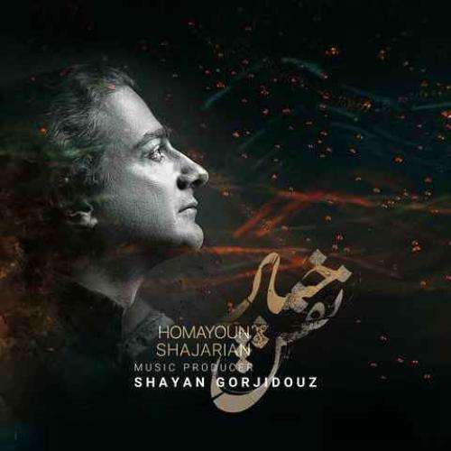 شایان گرجی دوز نقش خیال