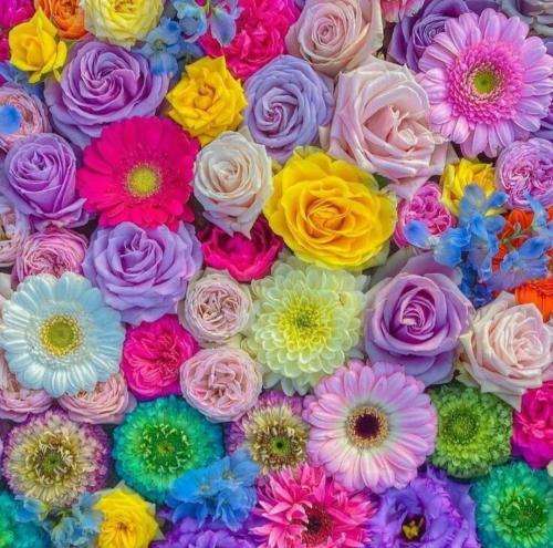 شایان یو هرکاری کنم برات هرچی بخونم واست تو به چشت نمیاد